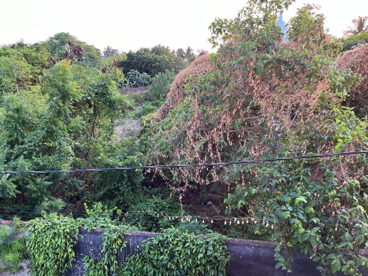 Nirman Homestay 5 Minutes Walk To Beach Puri Exterior photo